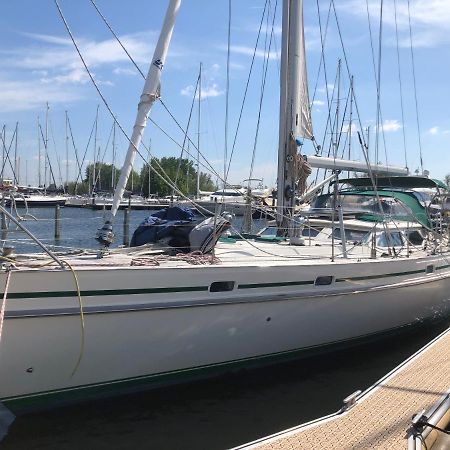 From September Lyra On The Go To Suriname Till 1 April 2026 Joint Captain Casey 梅代姆里克 外观 照片